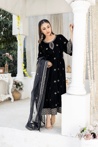 Black Velvet Frock